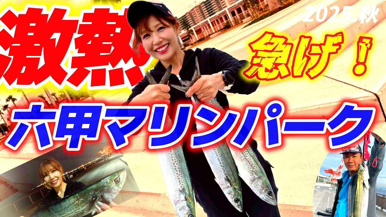 【神戸最強】六甲マリンパークで青物連発‼️今最高に熱い釣り場です‼️【ショアジギ】
