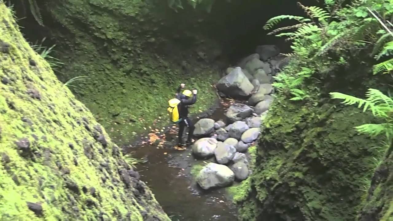 Canyon Madeira Seixal Integrale low
