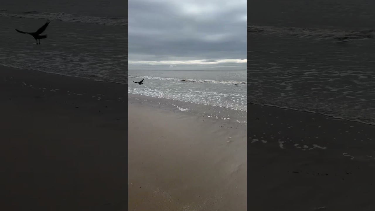 #YnysYBarri #SeasideVibes #GolygfeyddArfordirol  #DyddiauHapusArYTraeth #CoastalViews