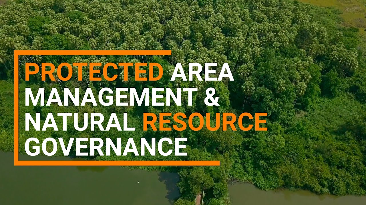 Joshua Fisher on Protected Area Management and Natural Resource Governance