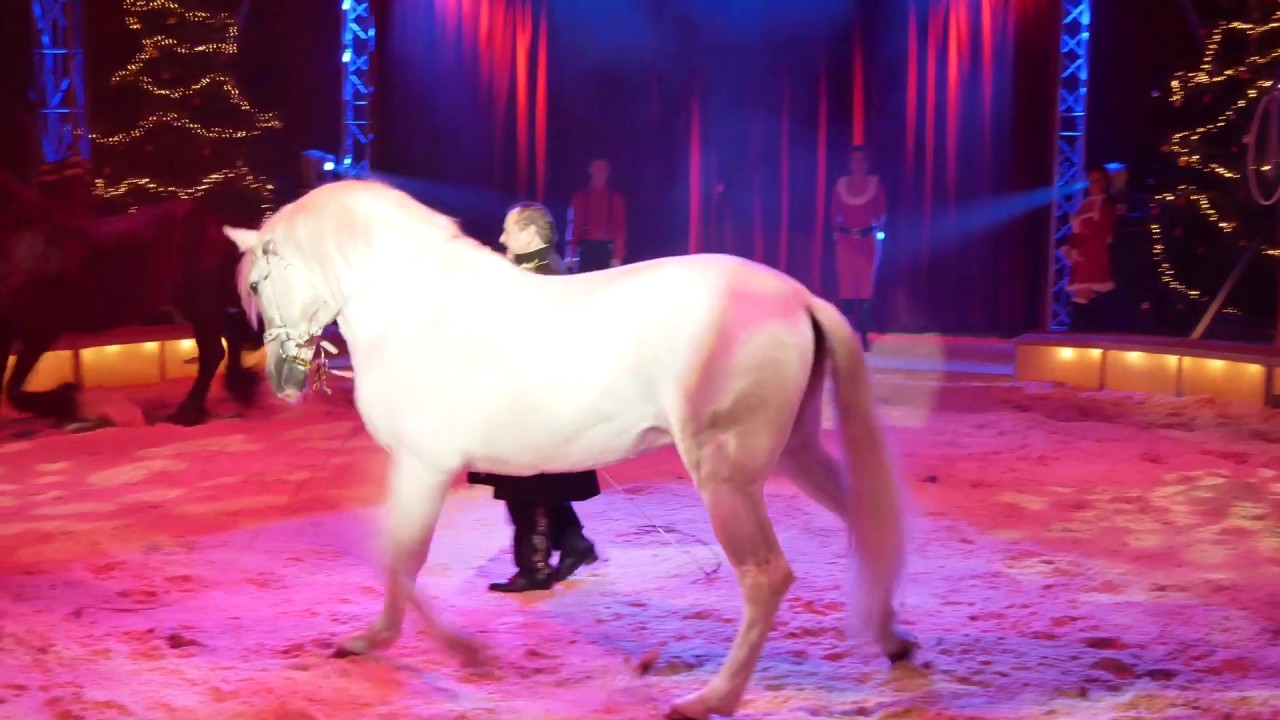 Premiere des 19. Celler Weihnachtszirkus