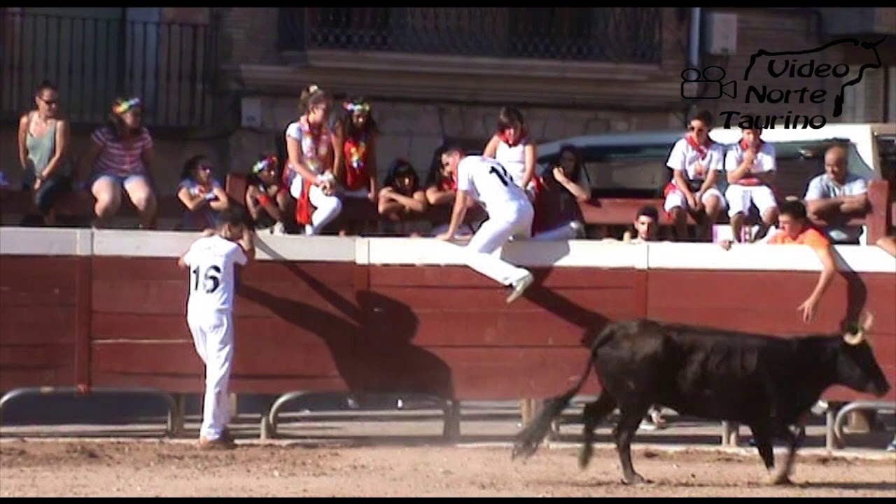 Viana (Navarra) Exibicion recortadores 22-07-2015 Toropasion