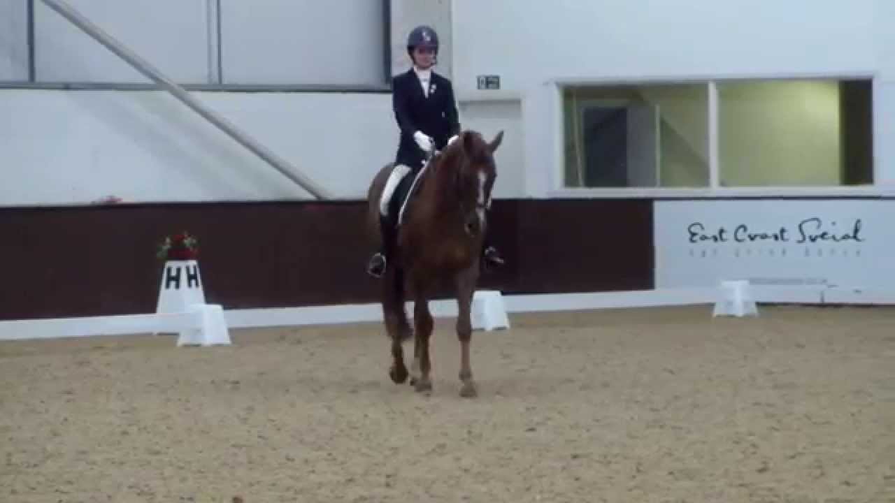 BD Elementary freestyle - Dressage to music