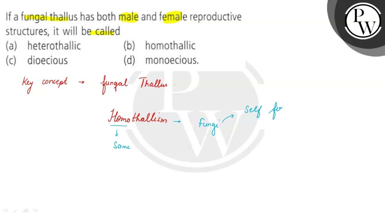 If a fungal thallus has both male and female reproductive structure...