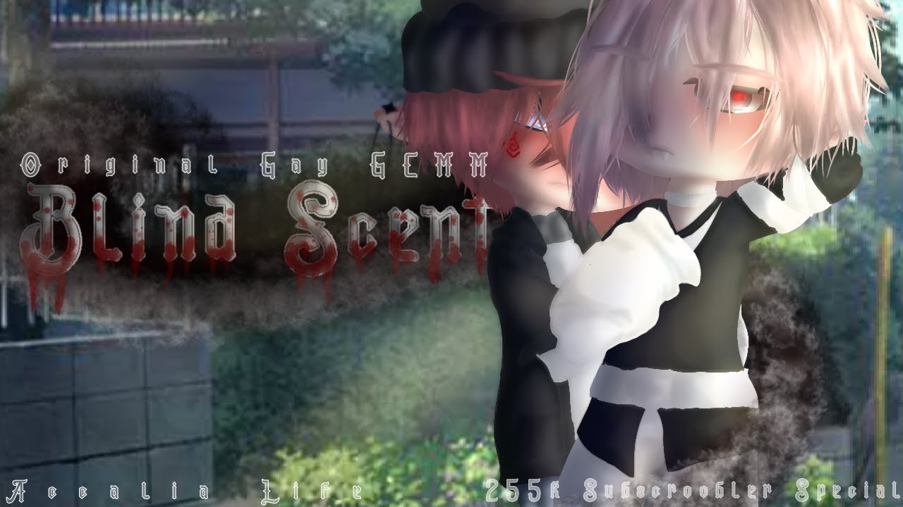 Blind Scent | Original Gay GCMM | 255k Subscroobler Special