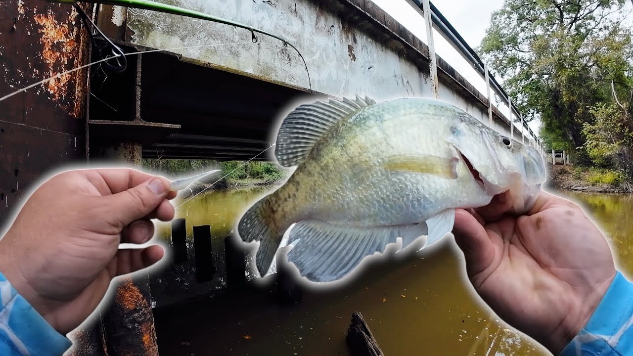 BANK CRAPPIE FISHING IN THE EVENING‼️ CREEK CRAPPIE WITH JIG & BOBBER🎣