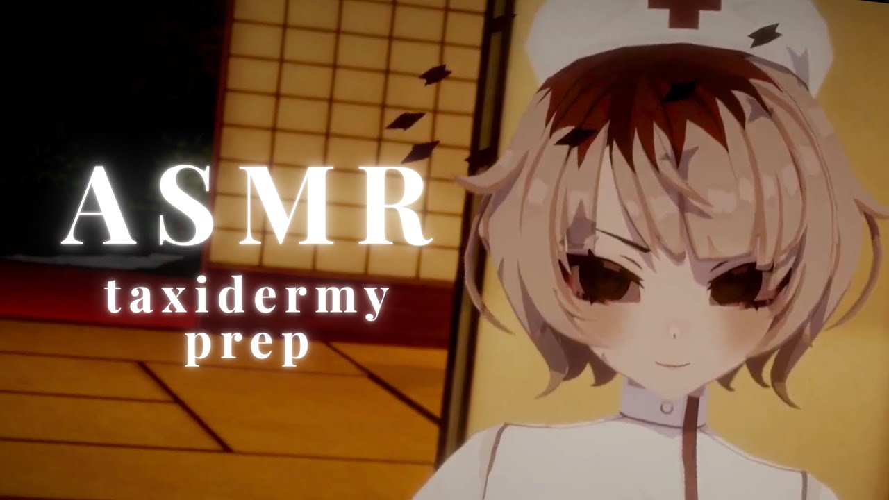 【ASMR】taxidermy prep: measuring you (whispering, measuring, writing)