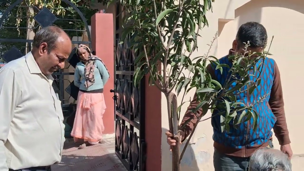 316 वां वृक्षारोपण 