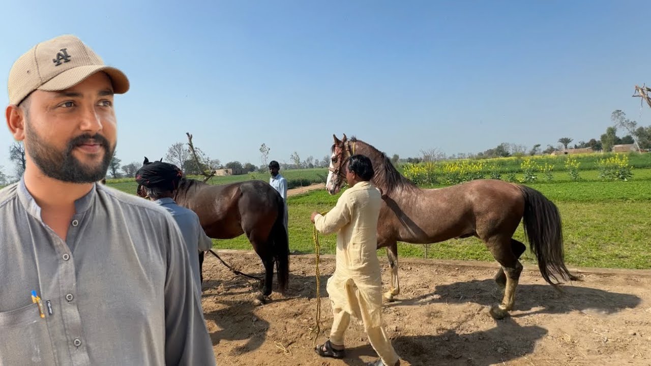 Kajal Or Hansraj Ka Bacha Kesa Hoga Wait & Watch