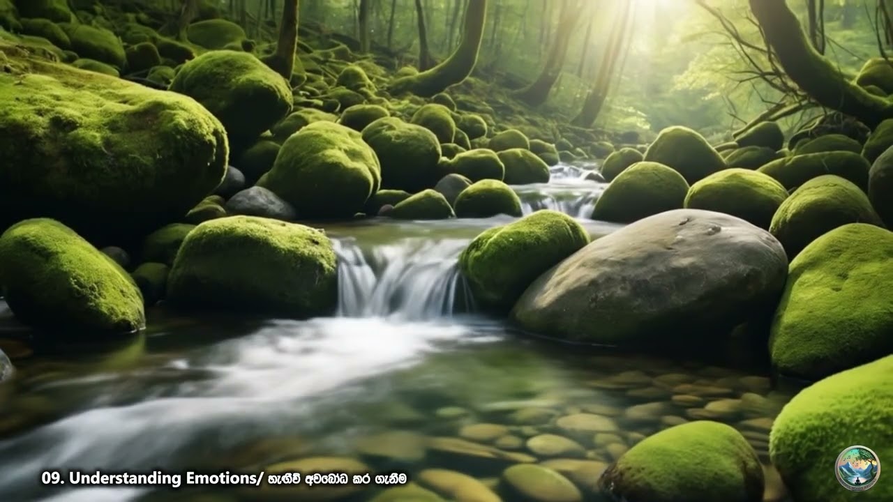 09. Understanding Emotions Sinhala | හැඟීම් පාලනය කරගන්න | Emotional Intelligence for Students