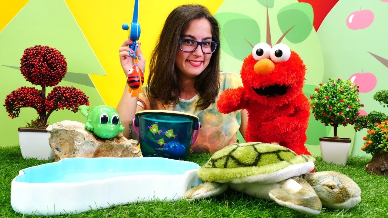 Çocuk videoları. Elmo oyuncak kaplumbağa ile  arkadaş ediniyor