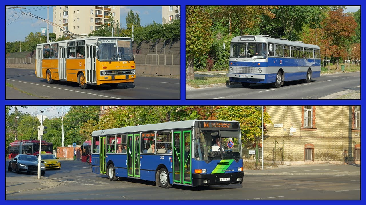 Автобусы Икарус 556, Икарус 260T и Икарус 415 в Будапеште, Венгрия