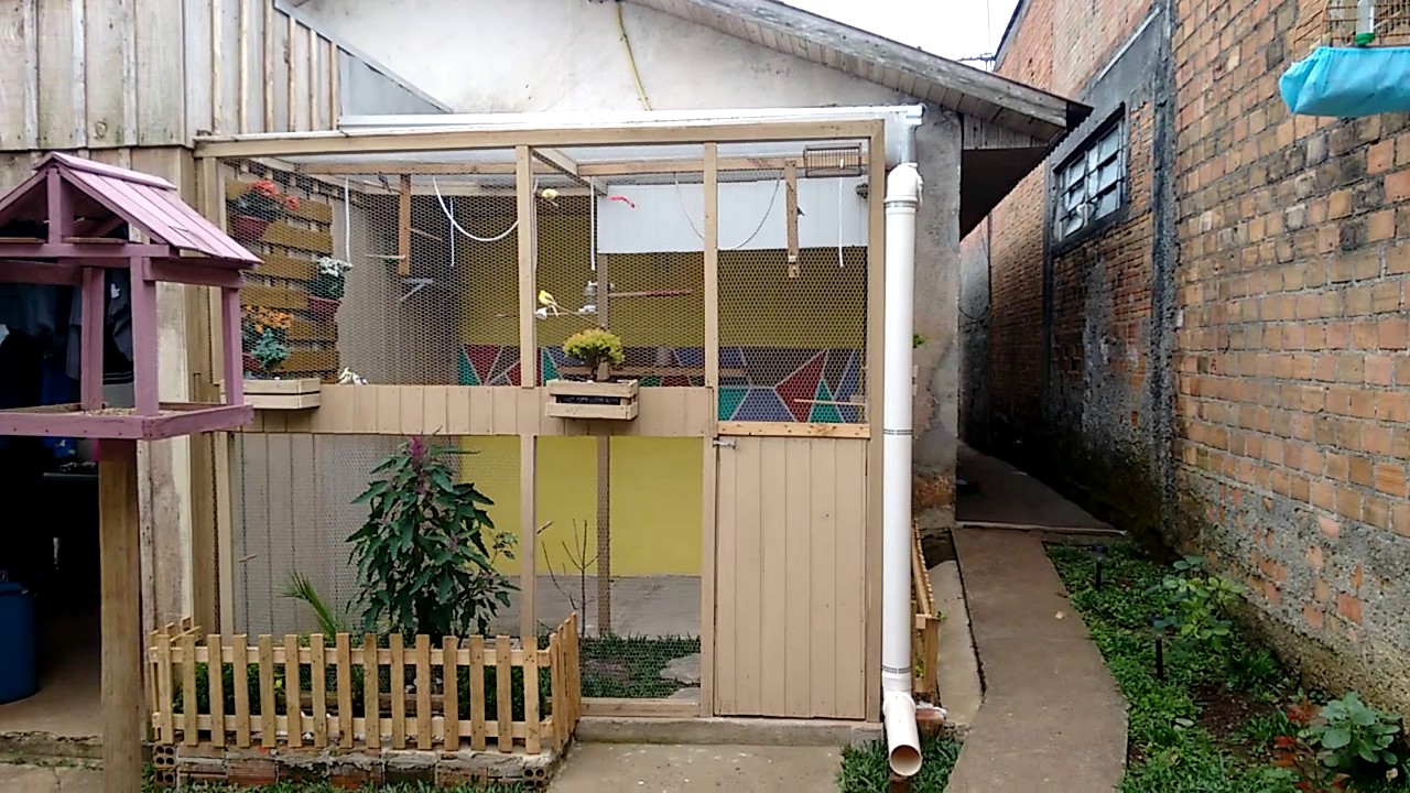 MOSTRANDO VIVEIRO DE BELGAS CONTINUAÇÃO...