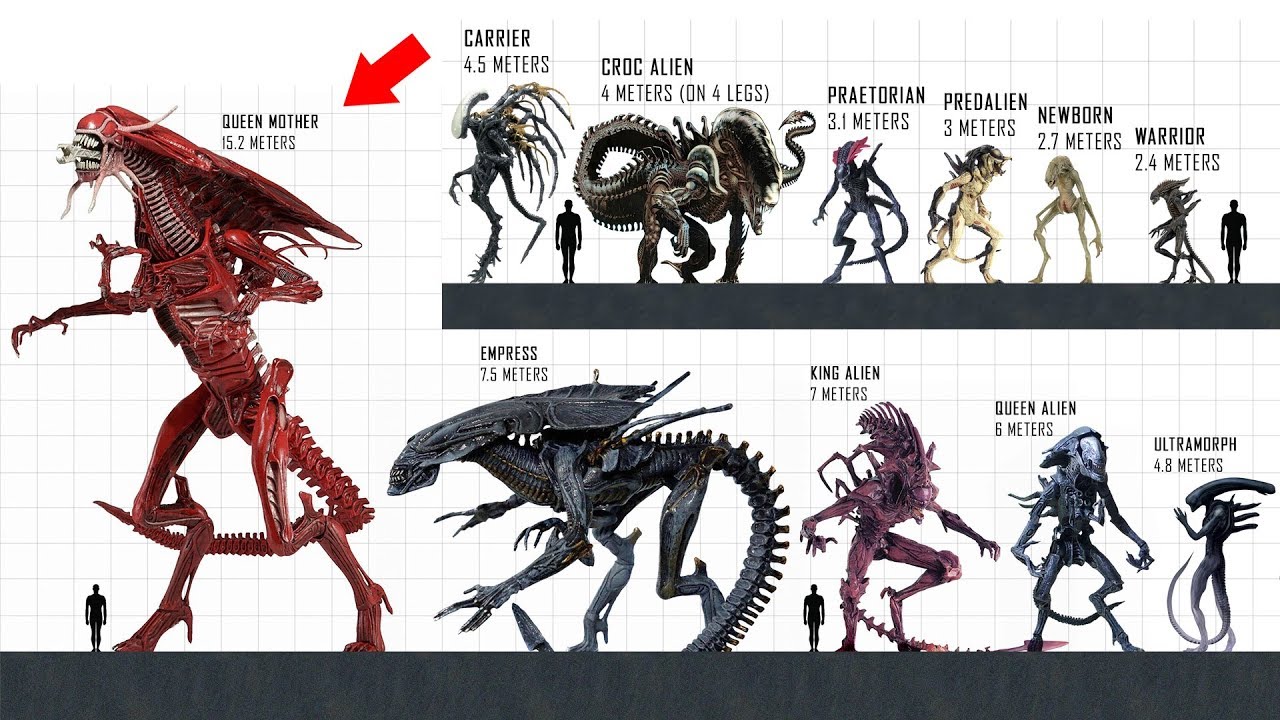 XENOMORPH Size Comparison