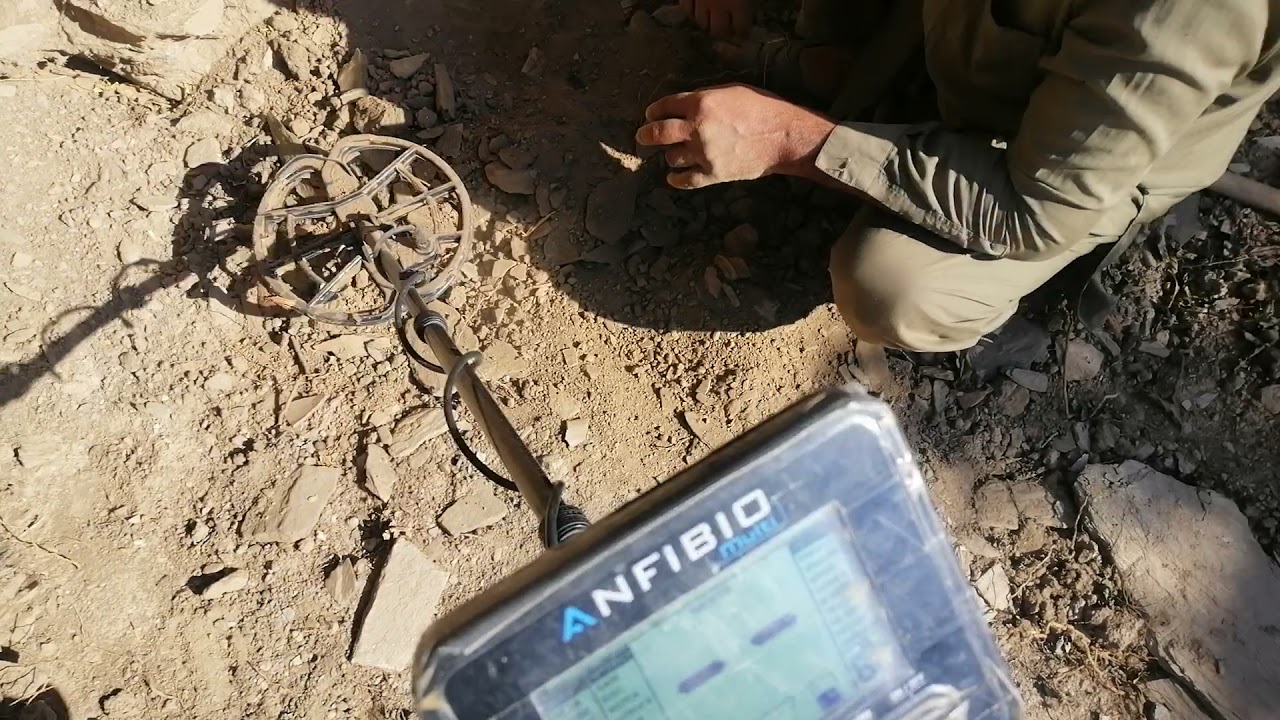 coin hunted with Anfibio multi #Anfibio #coins