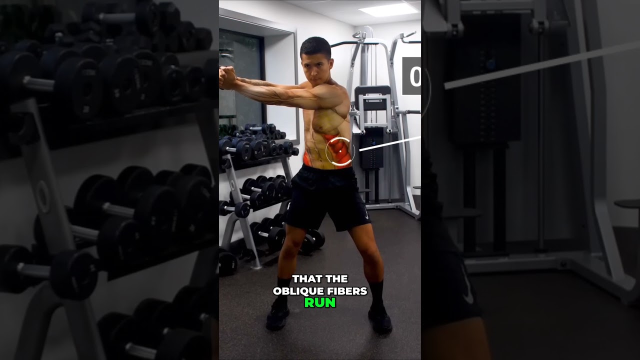 Transform Your Obliques Workout with High to Low Cable Wood Choppers