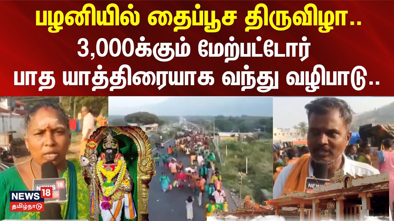 Palani thaipusam | தைப்பூச திருவிழா.. பழனியில் 3,000க்கும் மேற்பட்டோர் பாத யாத்திரையாக வந்து வழிபாடு