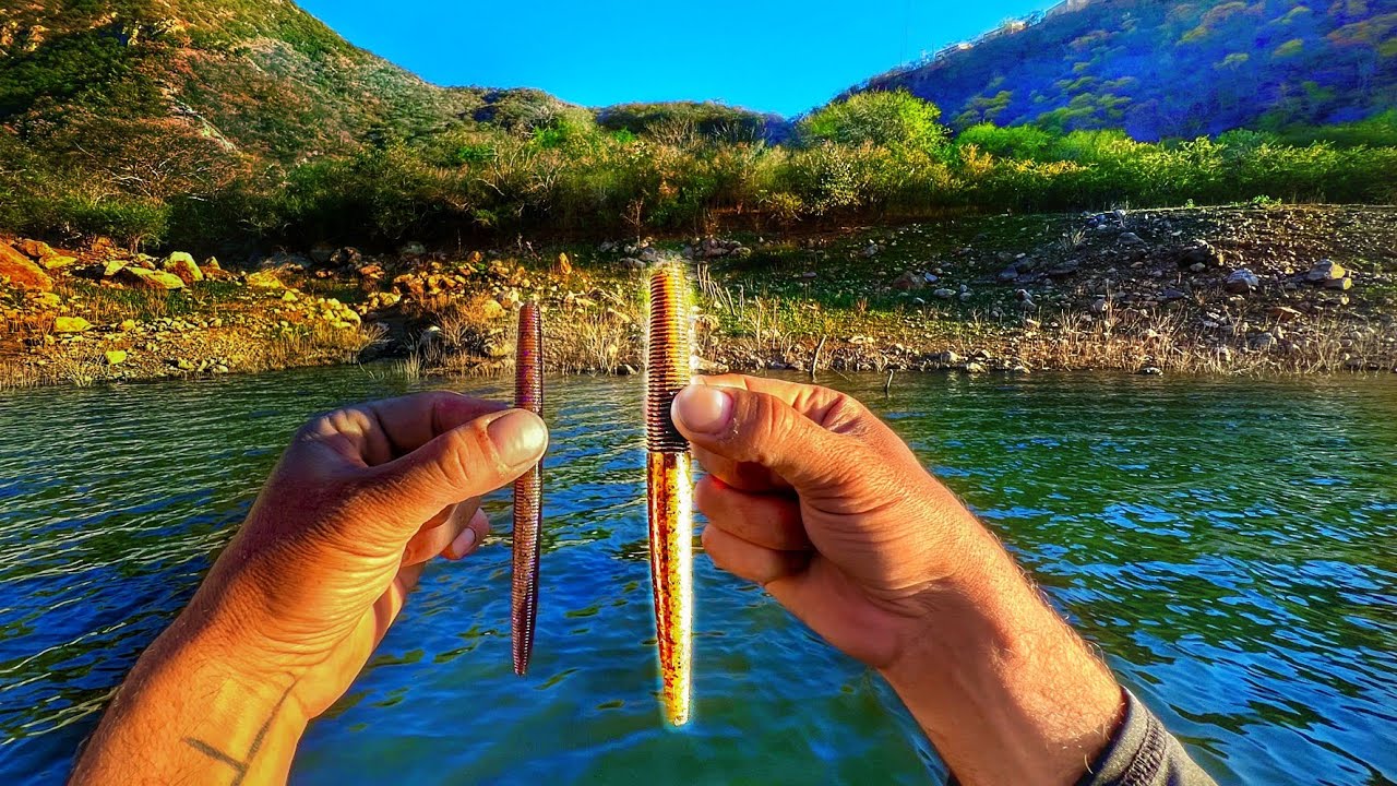 Necesitas esta NUEVA LOMBRIZ en tu caja de Pesca!!!
