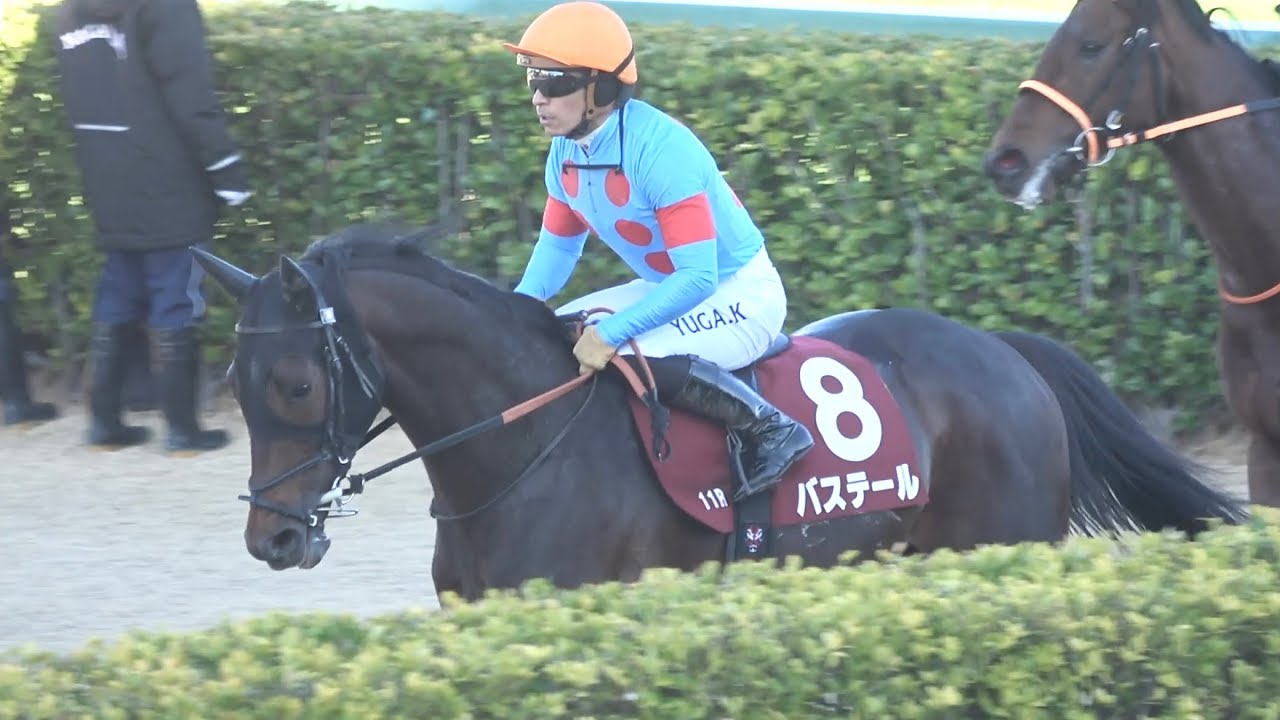 【現地】2026 G2 弥生賞 バステール 川田 将雅【中山競馬場】