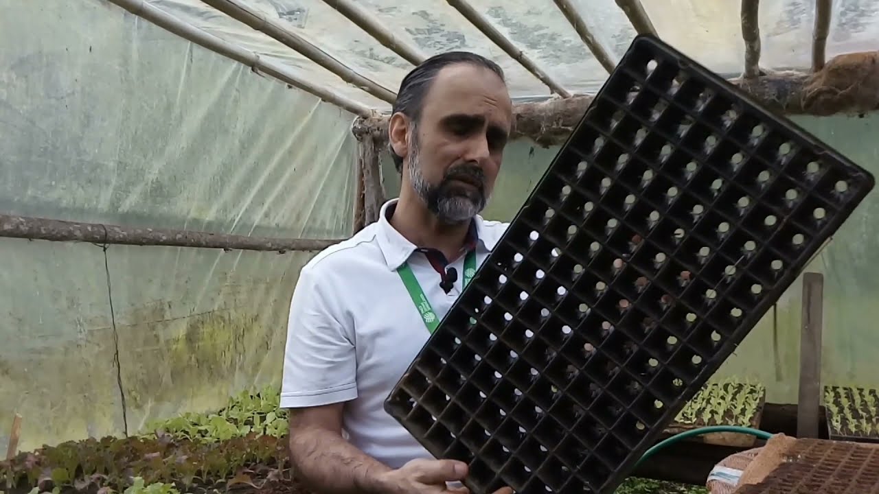 Como fazer uma estufa para produção de mudas?