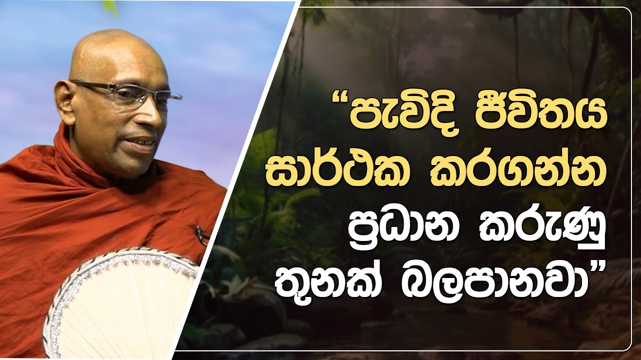 පැවිදි ජීවිතය සාර්ථක කරගන්න ප්‍රධන කරුණු තුනක් බලපානවා | Didula Arana | EP.214