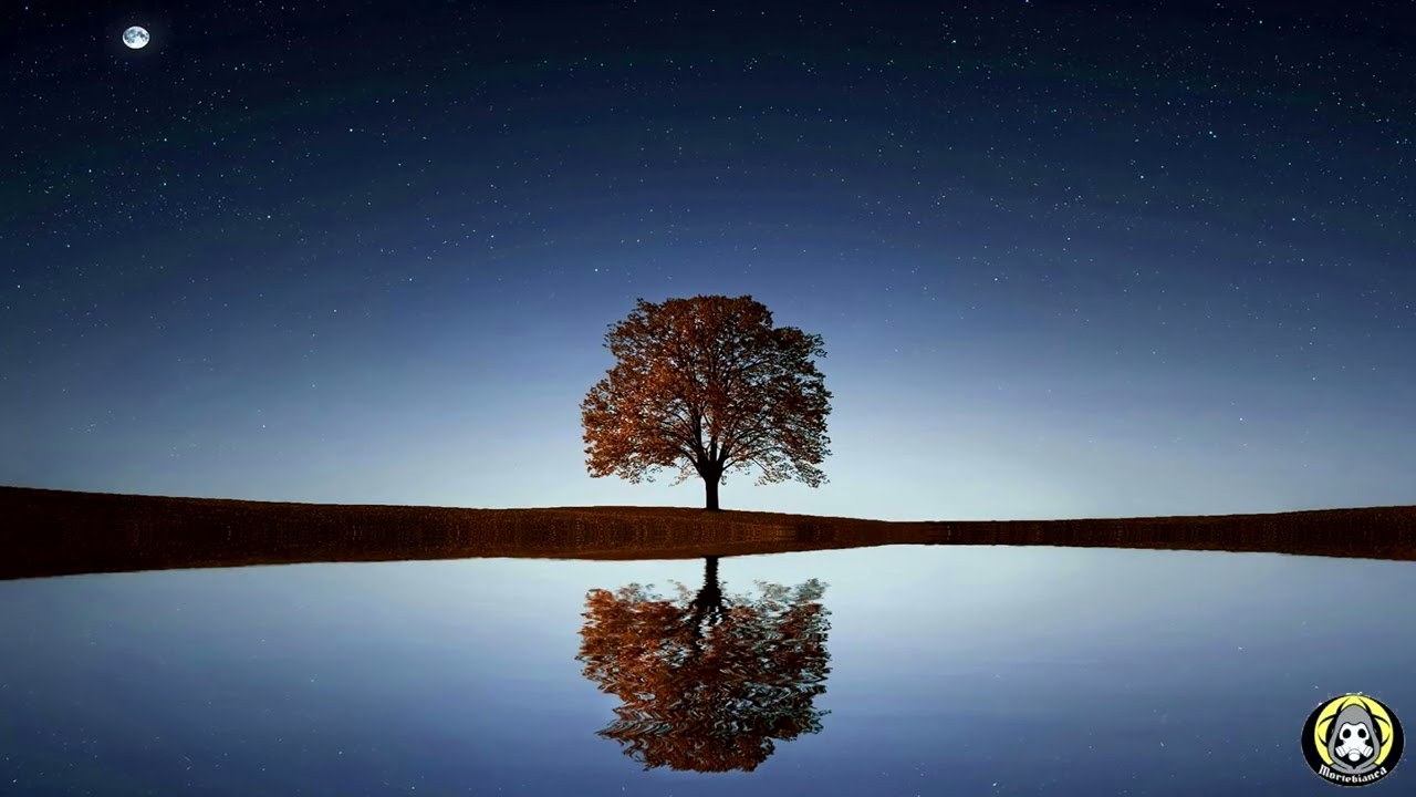 Esiste il BELLO OGGETTIVO?