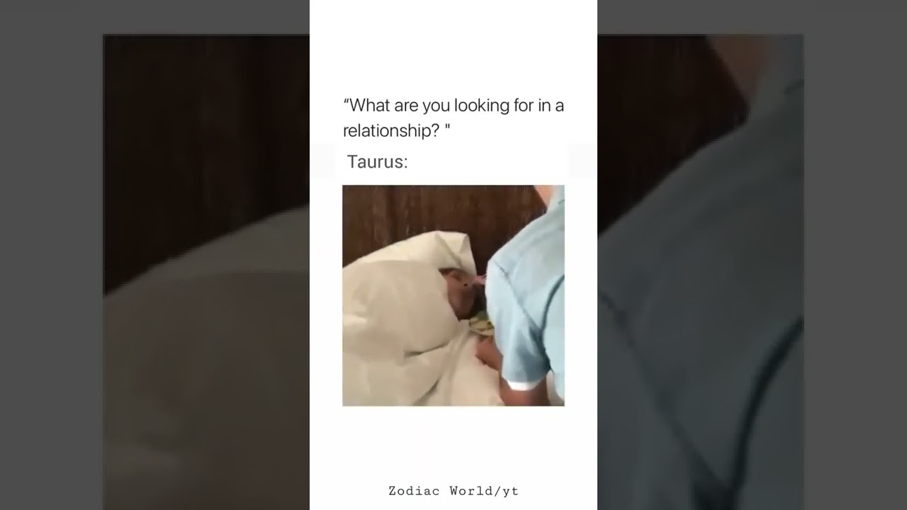 Taurus Relationships ♉ - Zodiac Signs Tiktok #shorts #taurus