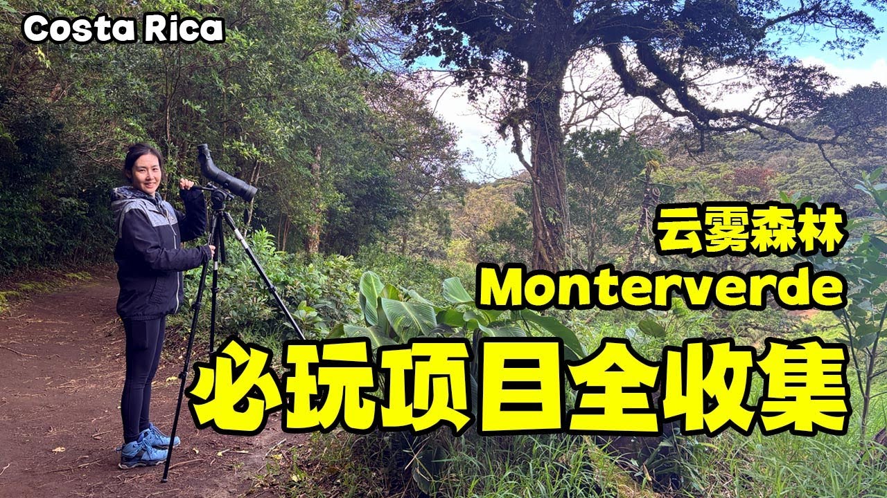 Monteverde必玩景点项目全收集 | 穿越云雾森林的千米滑索，跟随导游寻找珍稀动物鸟类，造访当地最大蝴蝶兰园