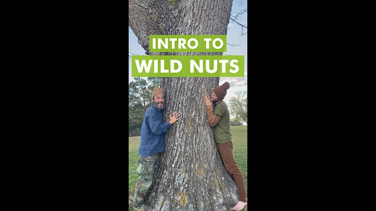 Becoming Wild Nut Humans!