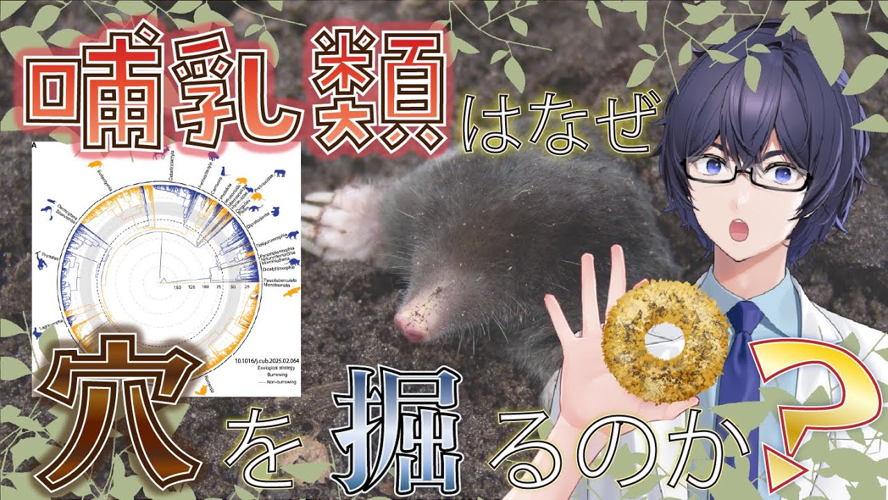 動物はなぜ穴を掘るのか？ 哺乳類の厳しい環境変動を生き抜く適応進化から考える🐇🕳  