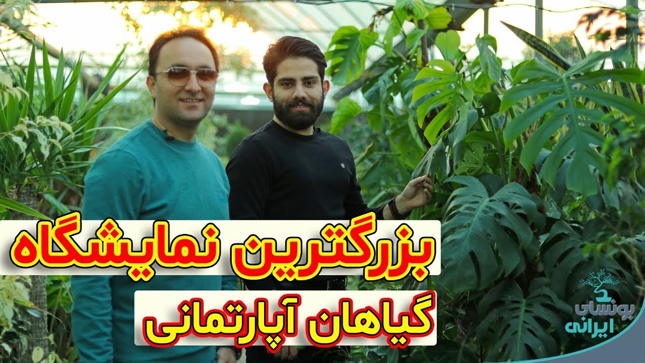 بزرگترین نمایشگاه سرپوشیده گیاهان آپارتمانی در خاورمیانه | معرفی گلخانه ها