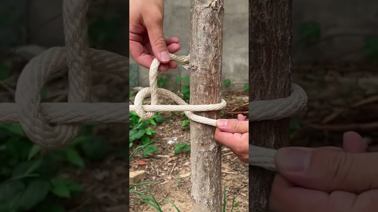Tie clothesline with pig's trotter knot
