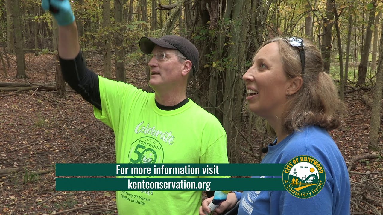 Invasive species control training presented by City of Kentwood and Kent Conservation District