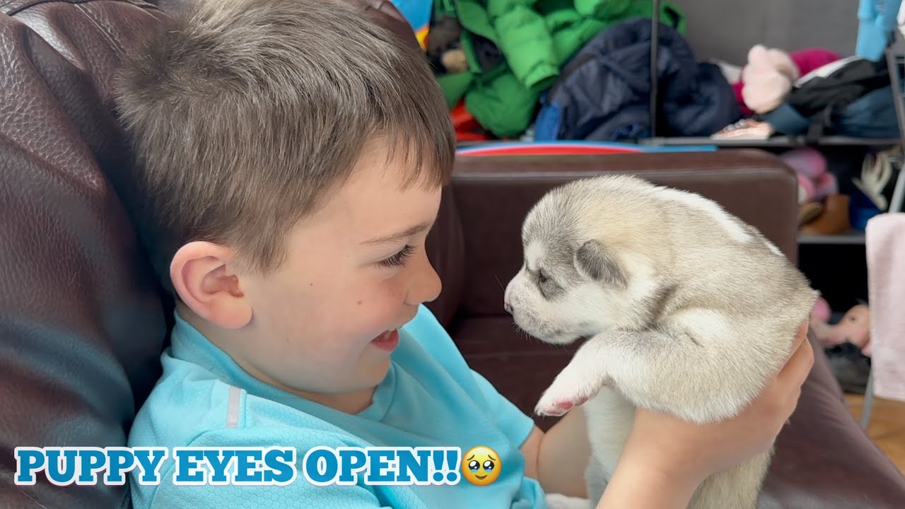 Parker’s Adorable Reaction To Seeing Puppy Opening His Eyes For The First Time Ever!!