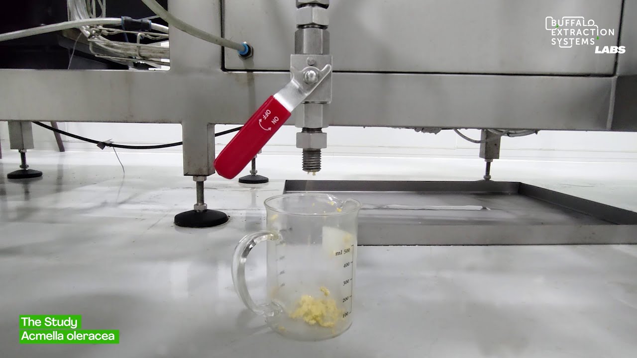 BES Labs | The Study | Acmella oleracea