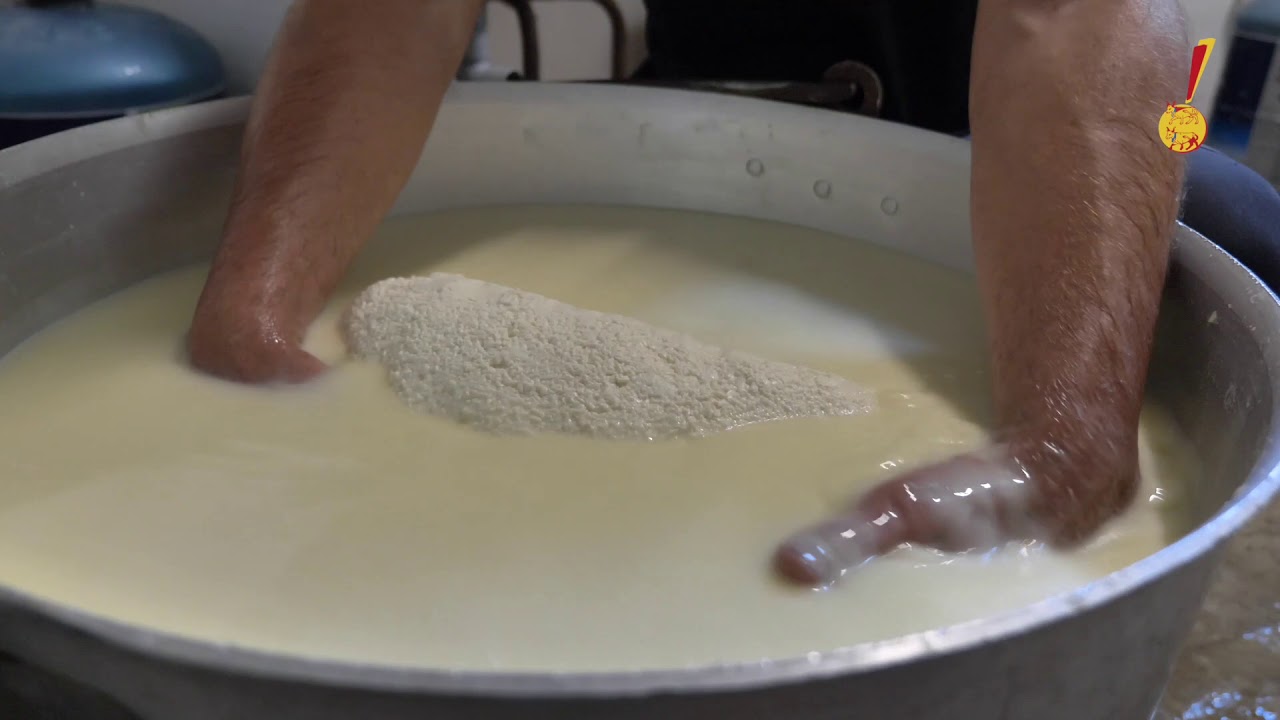 Ferme Larraillet - Oloron Sainte Marie (64)