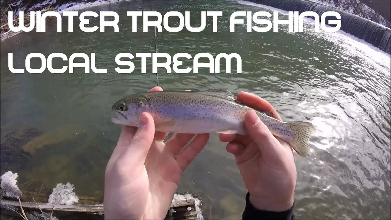 Winter Trout Fishing Ten Mile Creek | Marianna PA