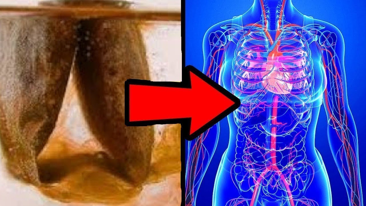 Diese 5 Dinge passieren, wenn Sie t&auml;glich schwarzen Tee trinken