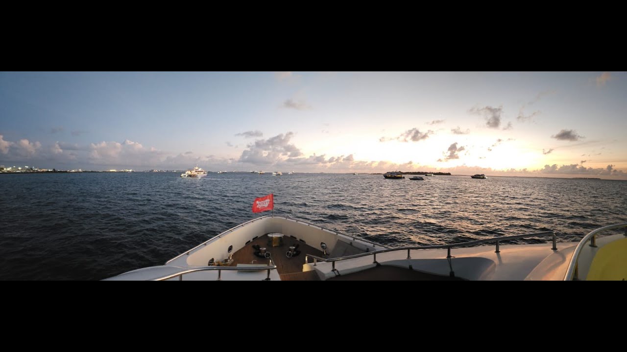 Мальдивы 2023 Дайвинг // Maldives Diving