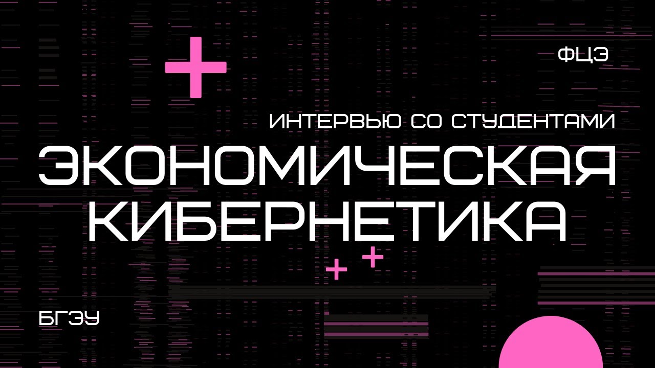 Экономическая кибернетика в БГЭУ. Почему стоит поступать на экономическую кибернетику ?