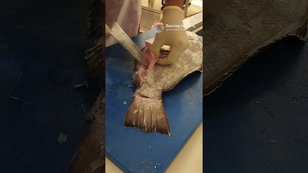 🔴HALIBUT🔴 how to skin a halibut? 2.5kghalibut 