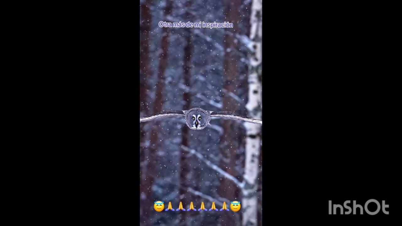 Necesito magia 