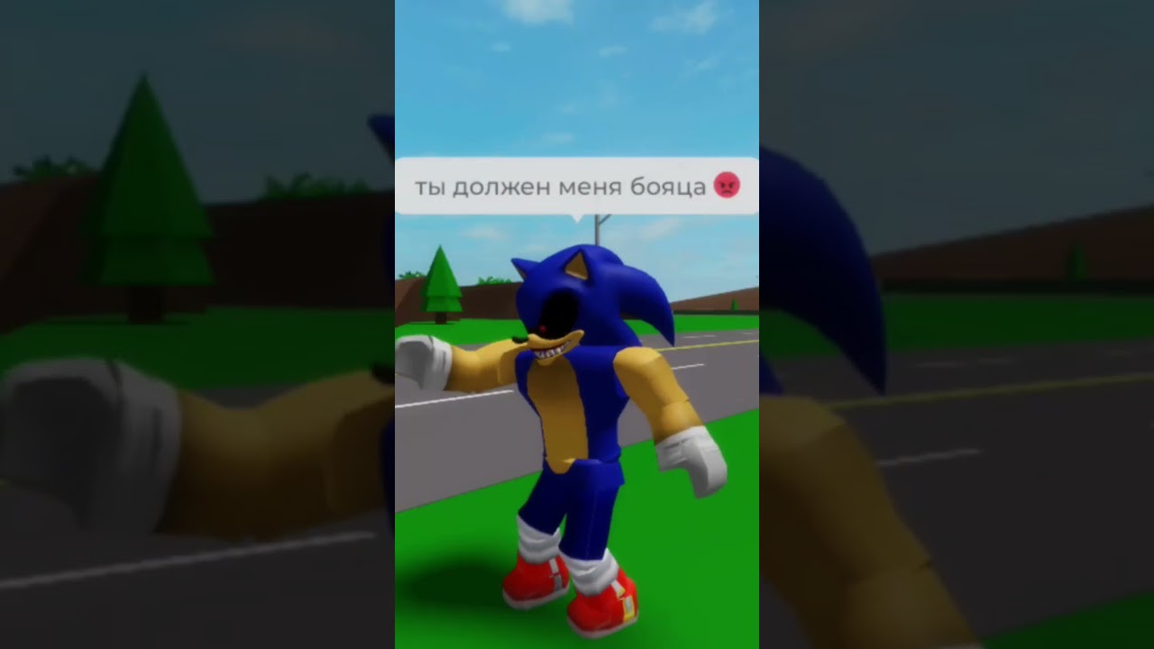 Типичная игра Sonic exe в  2025 году жиза🗿#roblox #роблокс #мем #жиза #соникехе