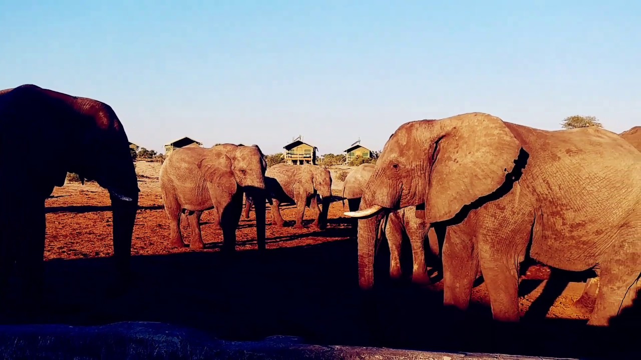 Elephant Highway | Cycling Botswana