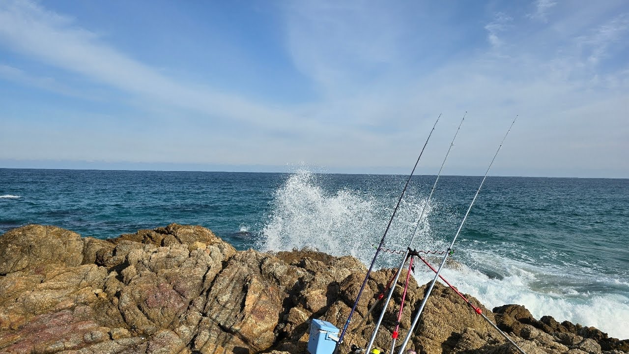 울진 원투낚시 조졌죠?