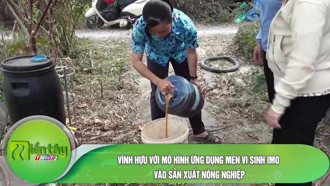 Vĩnh Hựu với mô hình ứng dụng men vi sinh IMO vào sản xuất nông nghiệp