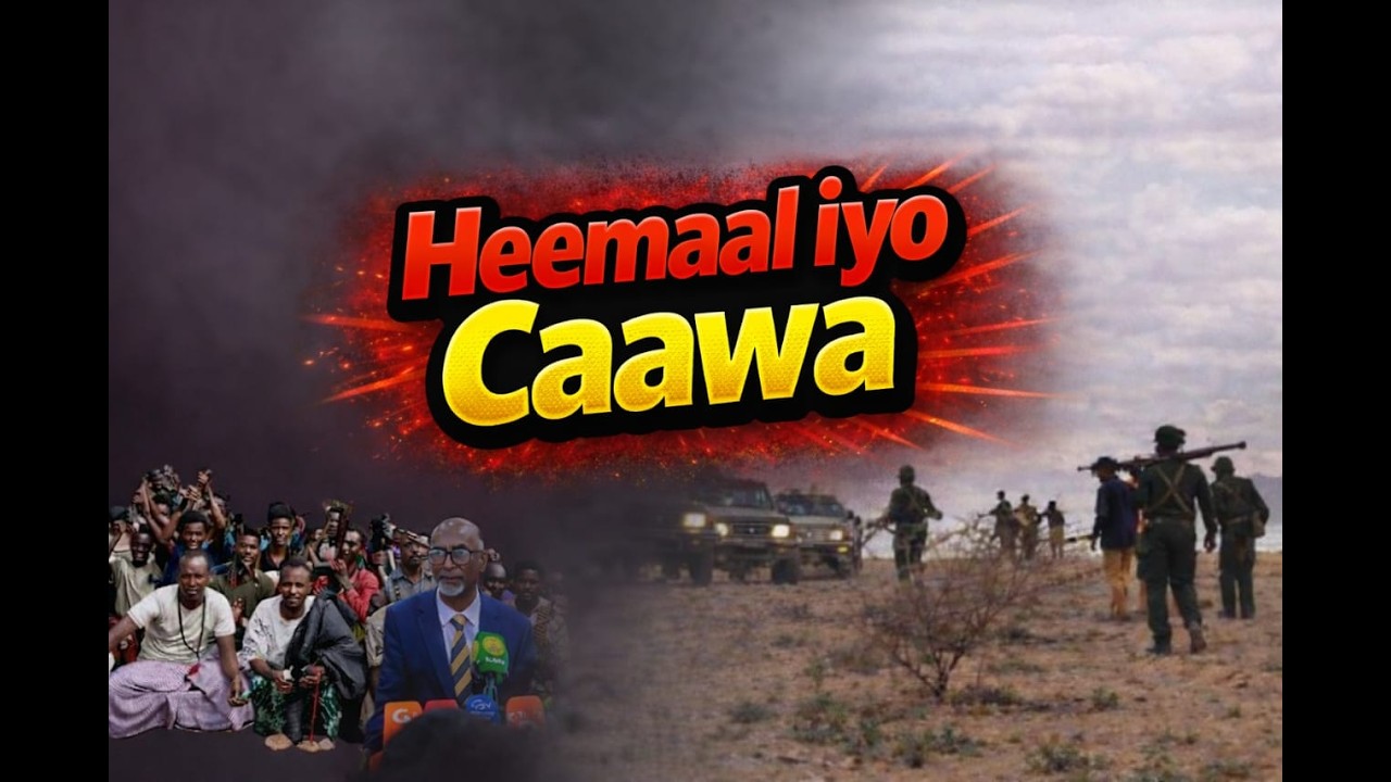HEEMAAL CAWA MAXA KA CUSUB + CIIDAMDA SOMALILAND + FARMAJO OO BANANKA SO BAXAY IYO