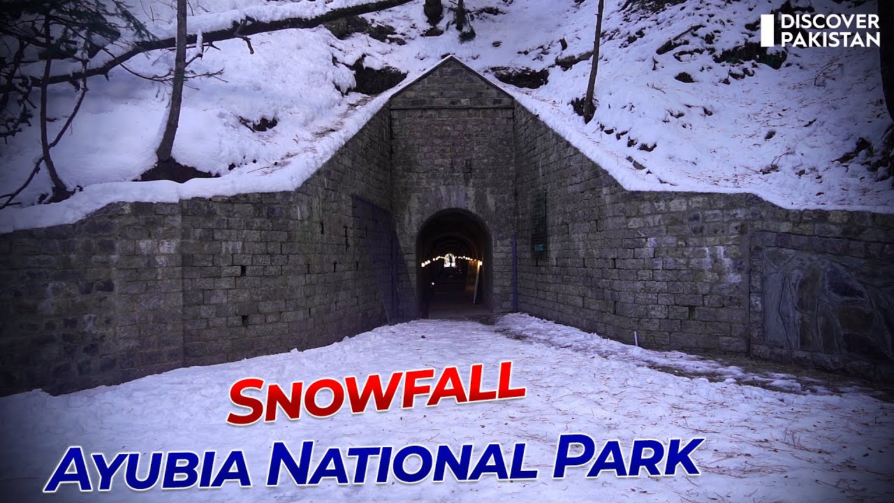 Snowfall in Ayubia National Park - Murree | Discover Pakistan TV