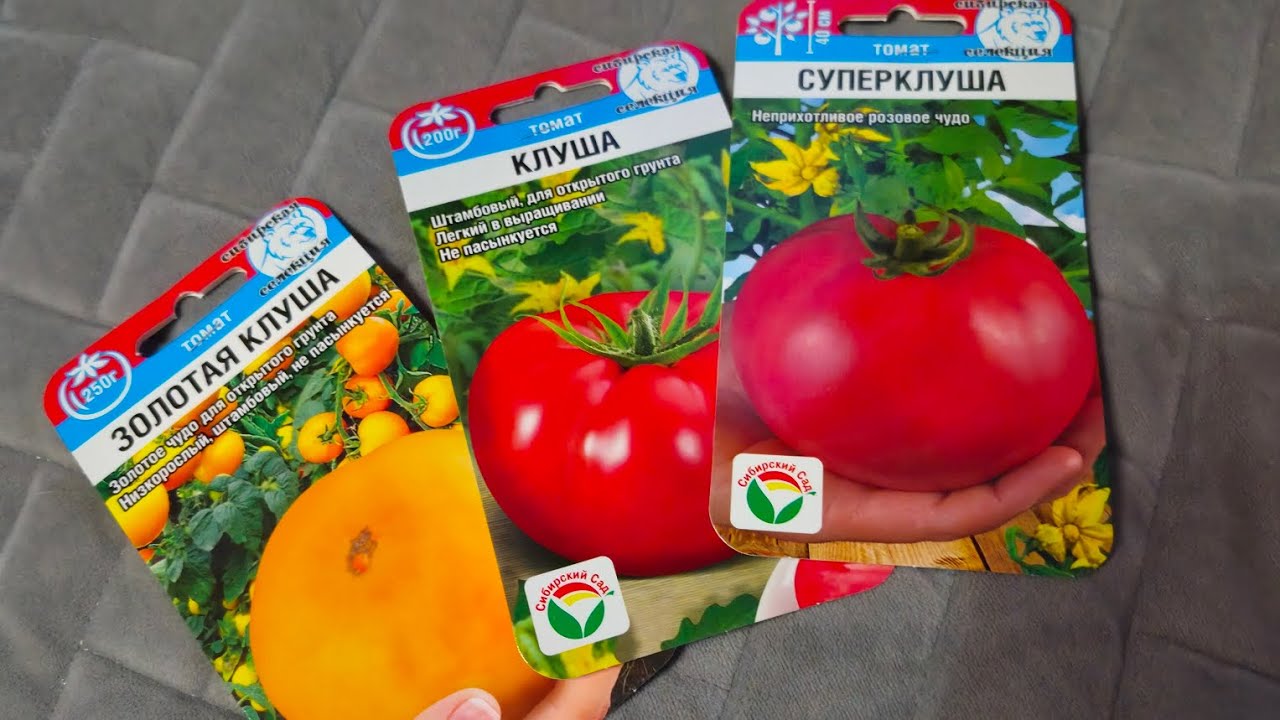 Лучшие низкорослые томаты сезона 2026 