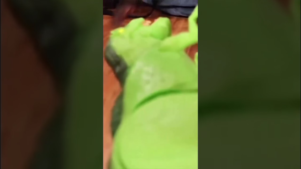 Monkey Meets T-Rex! #shorts